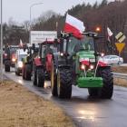 zdjęcie nr 22