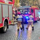 Fotka nr 2 z 11