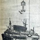 zdjęcie nr 9
