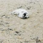 IMG_20200322_111531