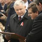 zdjęcie nr 8