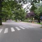 zdjęcie nr 79