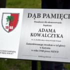 zdjęcie nr 24