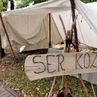 zdjęcie nr 13