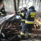 zdjęcie nr 9