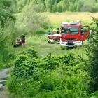 Fotka nr 4 z 11