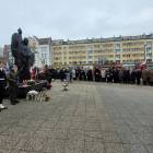 zdjęcie nr 11