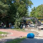 zdjęcie nr 13