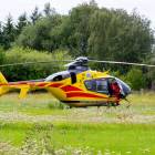 Fotka nr 4 z 5