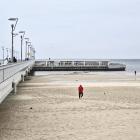 zdjęcie nr 11