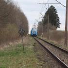 zdjęcie nr 7