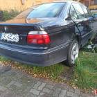 Fotka nr 3 z 8