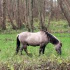 IMG_20201124_103557