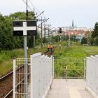 zdjęcie nr 8