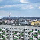 zdjęcie nr 11