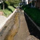 zdjęcie nr 34