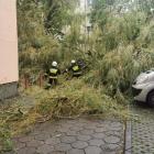 zdjęcie nr 7