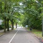 zdjęcie nr 85