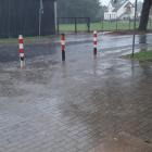 zdjęcie nr 13