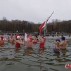 zdjęcie nr 10
