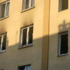 zdjęcie nr 8