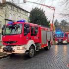 Fotka nr 1 z 11
