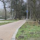 zdjęcie nr 9