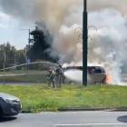 Fotka nr 3 z 17