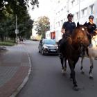 policja5