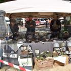 1DSC_0063 (Kopiowanie)