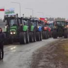 zdjęcie nr 45