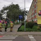 zdjęcie nr 8