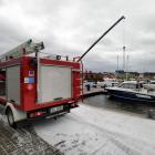 Fotka nr 5 z 29
