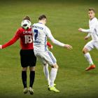 zdjęcie nr 12