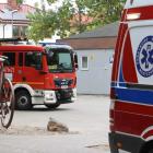 zdjęcie nr 7