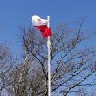 IMG_20210318_110423