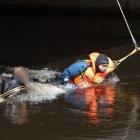 zdjęcie nr 14