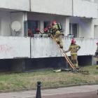 Fotka nr 3 z 11