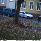 zdjęcie nr 7