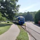 zdjęcie nr 8