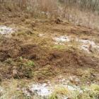 IMG-20210109-WA0014