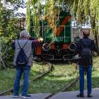 Fotka nr 3 z 16