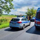 Fotka nr 5 z 7
