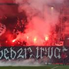 Fotka nr 3 z 21