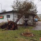 zdjęcie nr 11