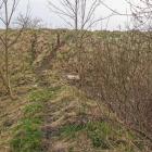zdjęcie nr 18