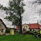 zdjęcie nr 8