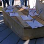 IMG_20201103_120402