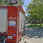zdjęcie nr 8