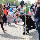 zdjęcie nr 23